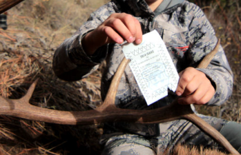 How to Get Your Hunting License Fast & Legally